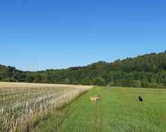 Im Herbst 2019 (1)